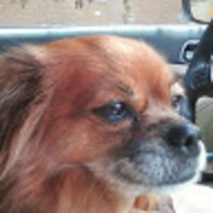 Meet your Posher, Karen